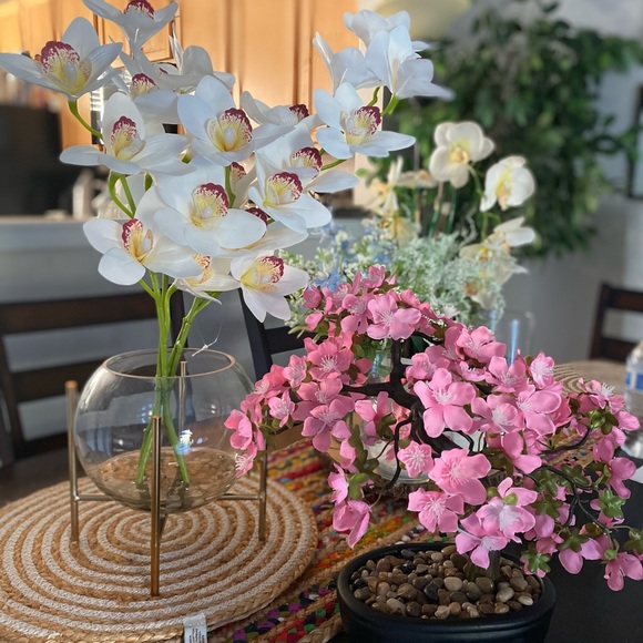 Meet your Posher, Paushali - Picture 1 of 1